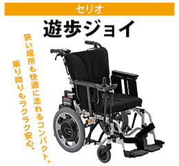 s_遊歩ジョイ
